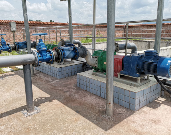 雙轉(zhuǎn)子凸輪泵