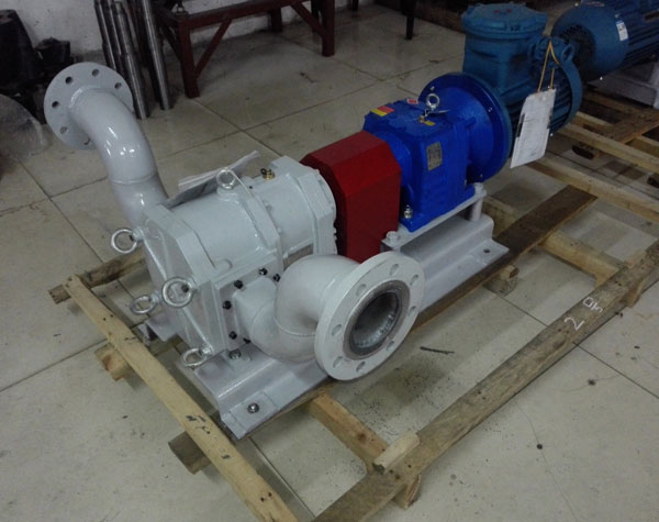 不銹鋼轉(zhuǎn)子泵日常維護(hù)保養(yǎng)需要注意哪些問(wèn)題呢?